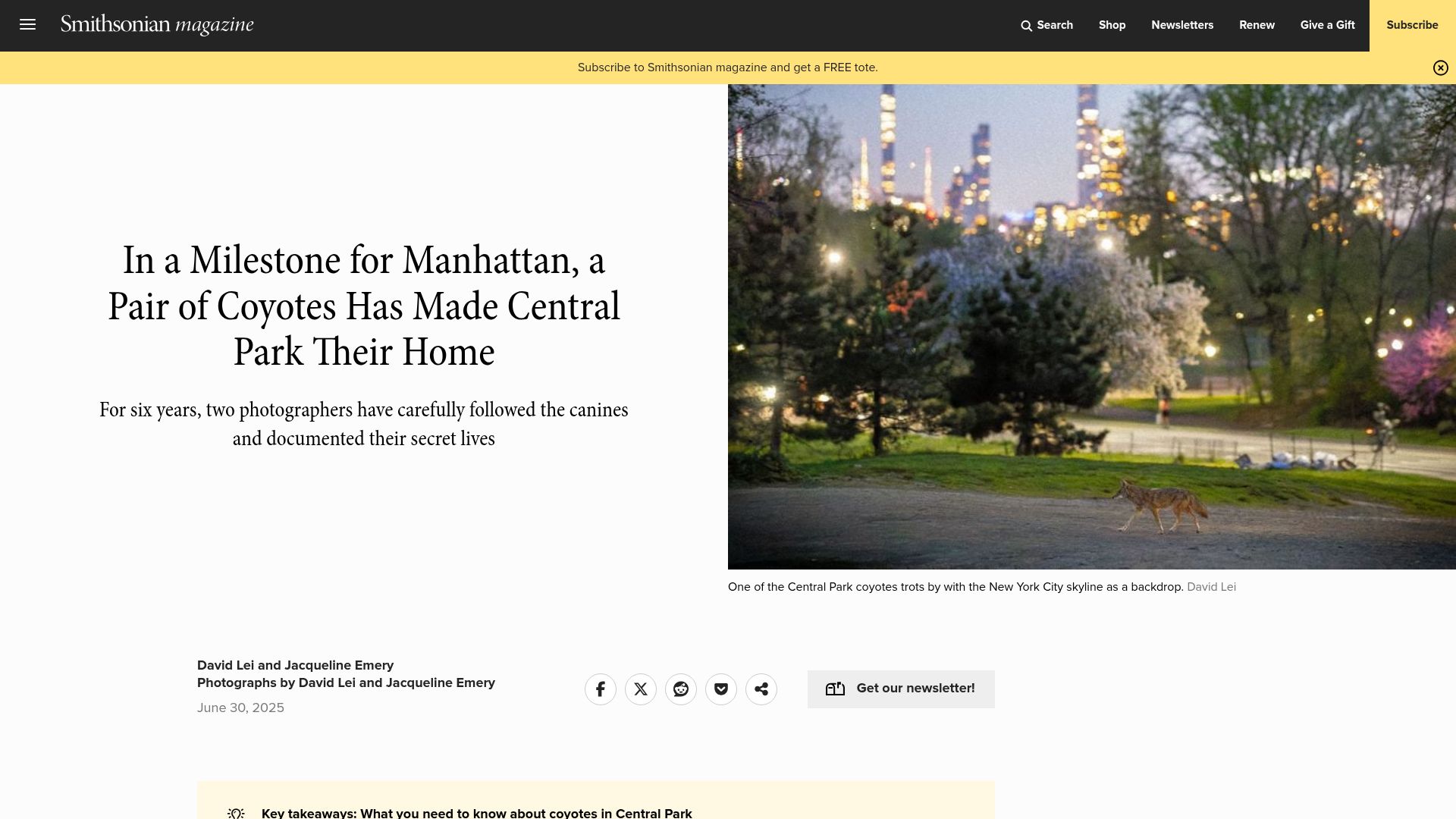 Screenshot of smithsonianmag.com: In a milestone for Manhattan, a pair of coyotes has made Central Park their home