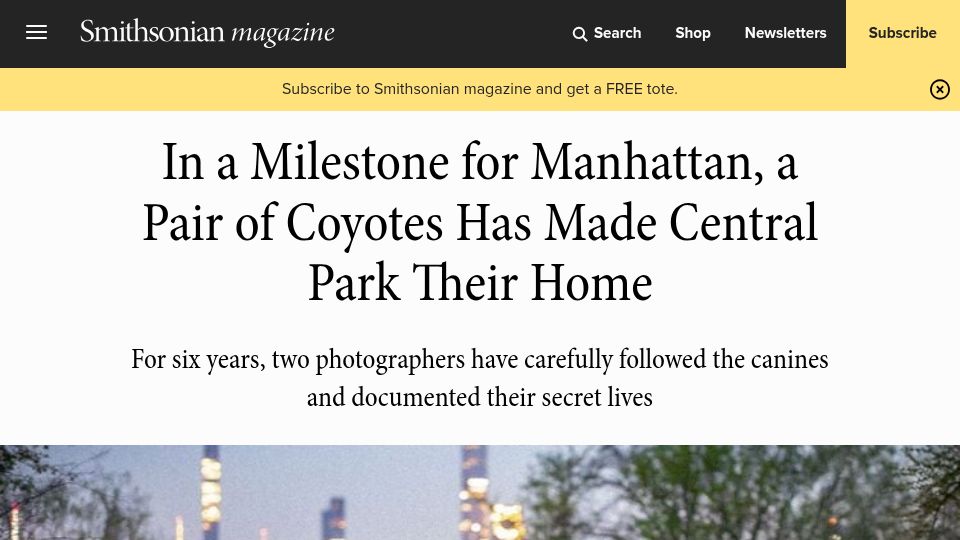 Screenshot of smithsonianmag.com: In a milestone for Manhattan, a pair of coyotes has made Central Park their home