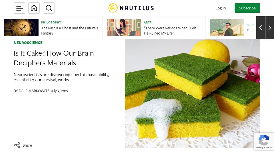 Screenshot of nautil.us: Is It Cake? How Our Brain Deciphers Materials