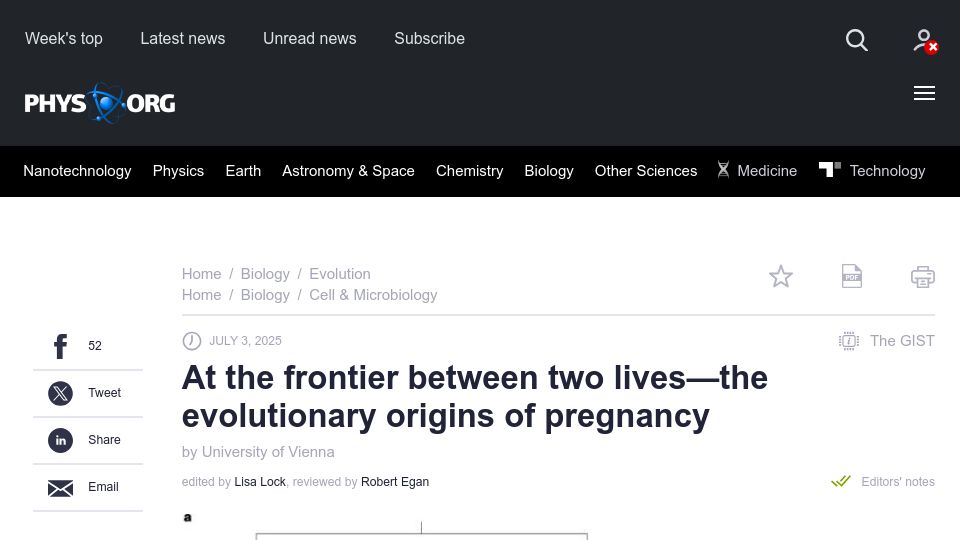 Screenshot of phys.org: At the frontier between two lives–the evolutionary origins of pregnancy