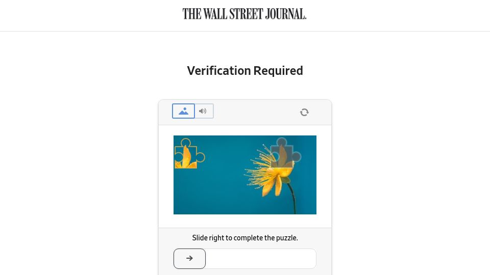 Screenshot of wsj.com: A criminal enterprise run by monkeys