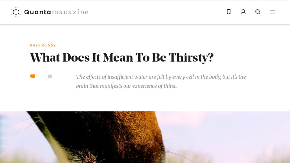 Screenshot of quantamagazine.org: What does it mean to be thirsty?