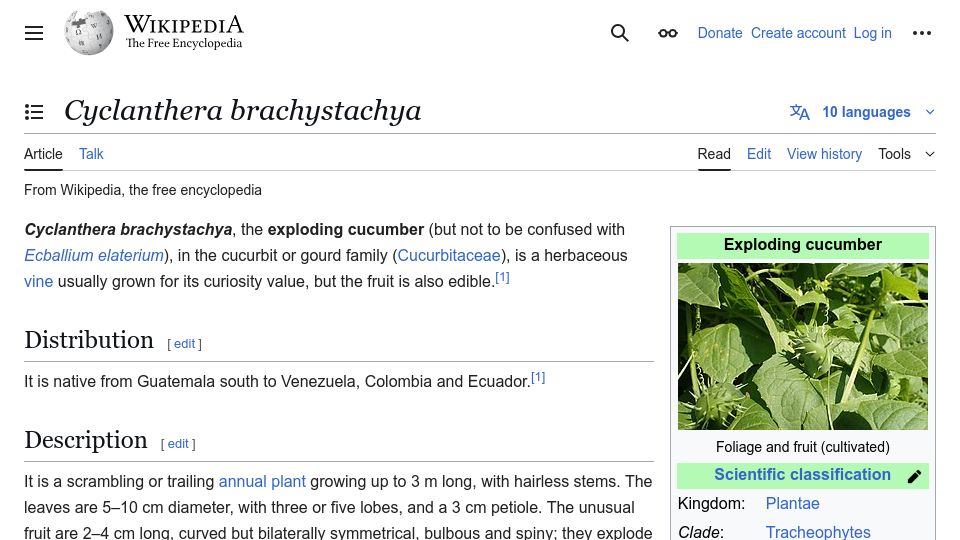 Screenshot of en.wikipedia.org: Exploding Cucumber