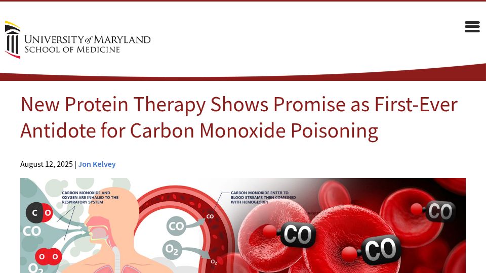 Screenshot of medschool.umaryland.edu: New protein therapy shows promise as antidote for carbon monoxide poisoning