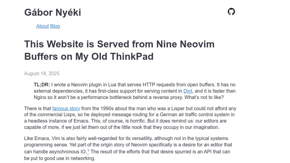 Screenshot of vim.gabornyeki.com: Website is served from nine Neovim buffers on my old ThinkPad