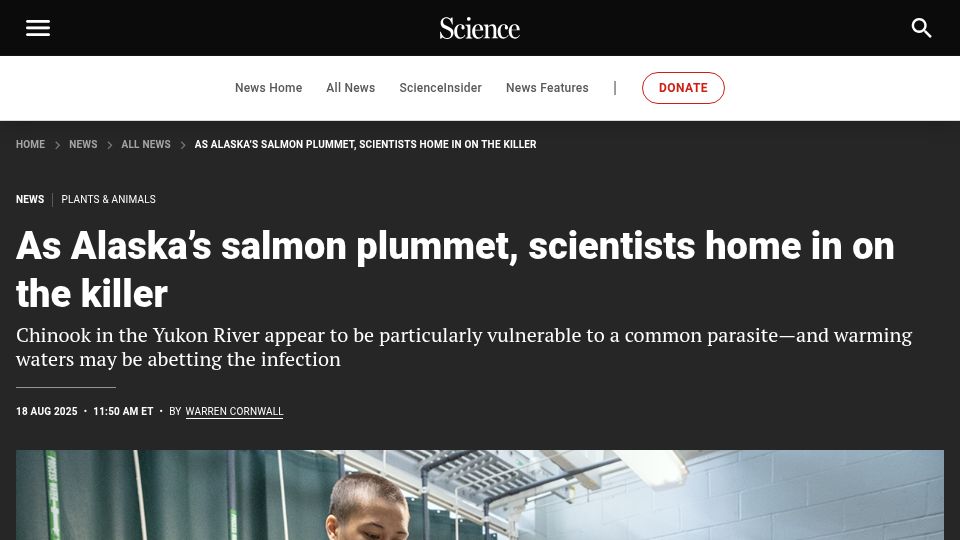 Screenshot of science.org: As Alaska's salmon plummet, scientists home in on the killer – Science – AAAS