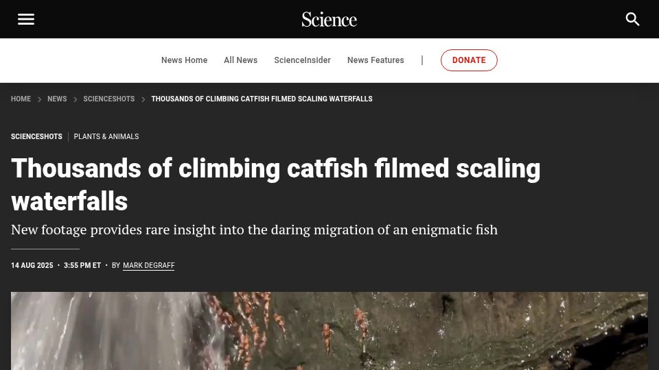 Screenshot of science.org: Climbing catfish filmed scaling waterfalls