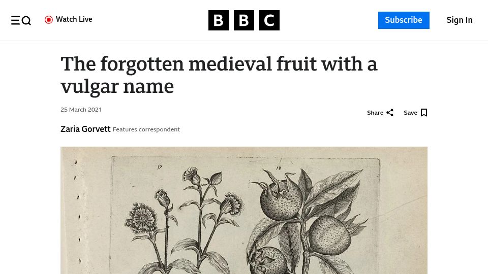 Screenshot of bbc.com: A forgotten medieval fruit with a vulgar name (2021)