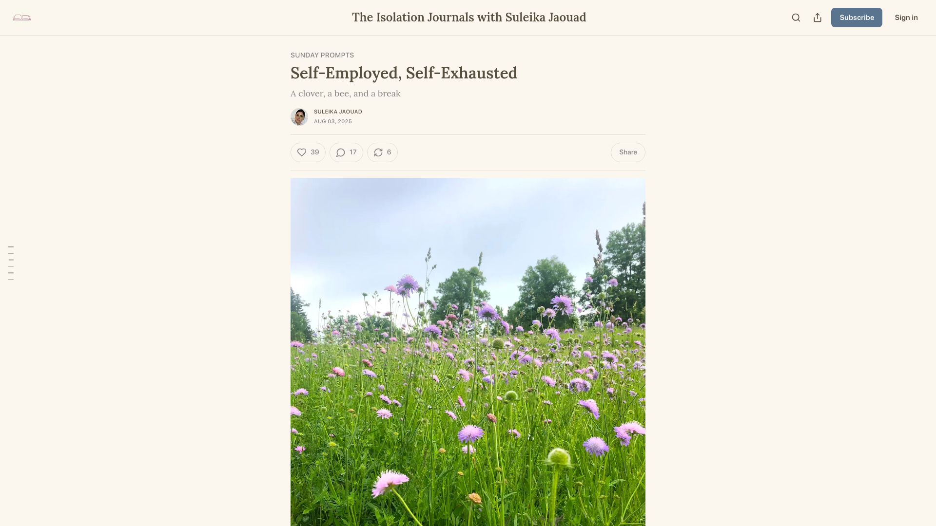 Screenshot of theisolationjournals.substack.com: Self-employed, self-exhausted