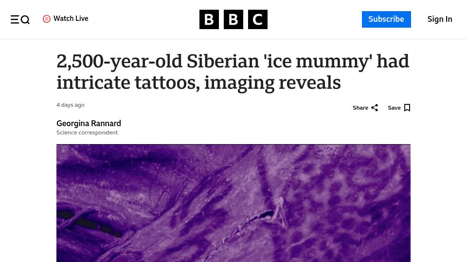 Screenshot of bbc.com: 2,500-year-old Siberian 'ice mummy' had intricate tattoos, imaging reveals