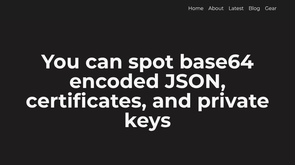 Screenshot of ergaster.org: Spotting base64 encoded JSON, certificates, and private keys