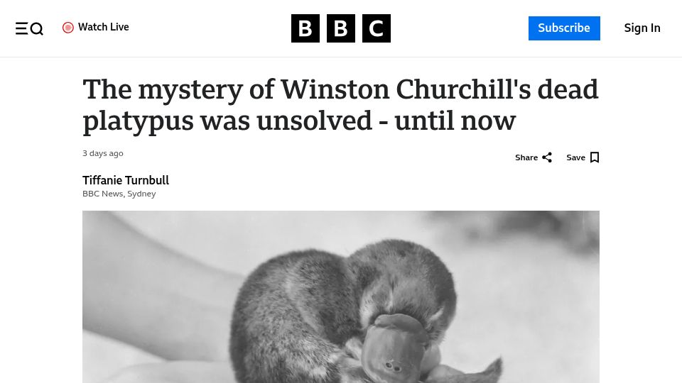 Screenshot of bbc.com: The mystery of Winston Churchill's dead platypus was finally solved