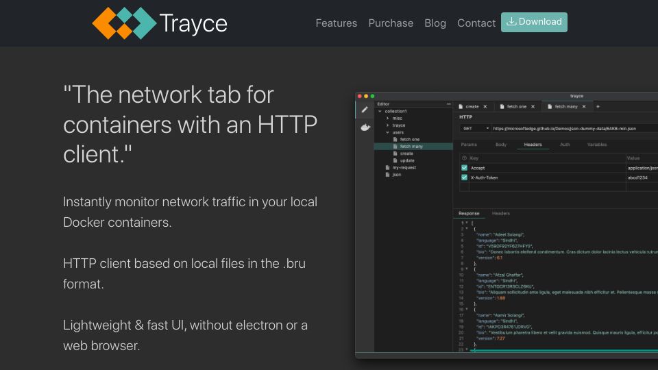 Screenshot of trayce.dev: Show HN: Trayce – Burp Suite for developers