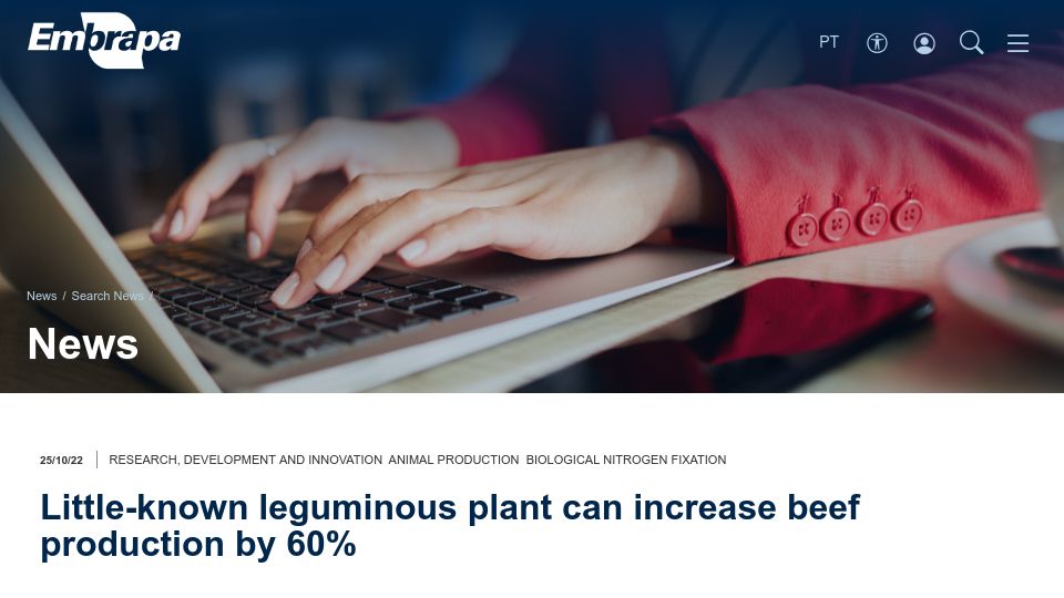 Screenshot of embrapa.br: Little-known leguminous plant can increase beef production by 60% (2022)