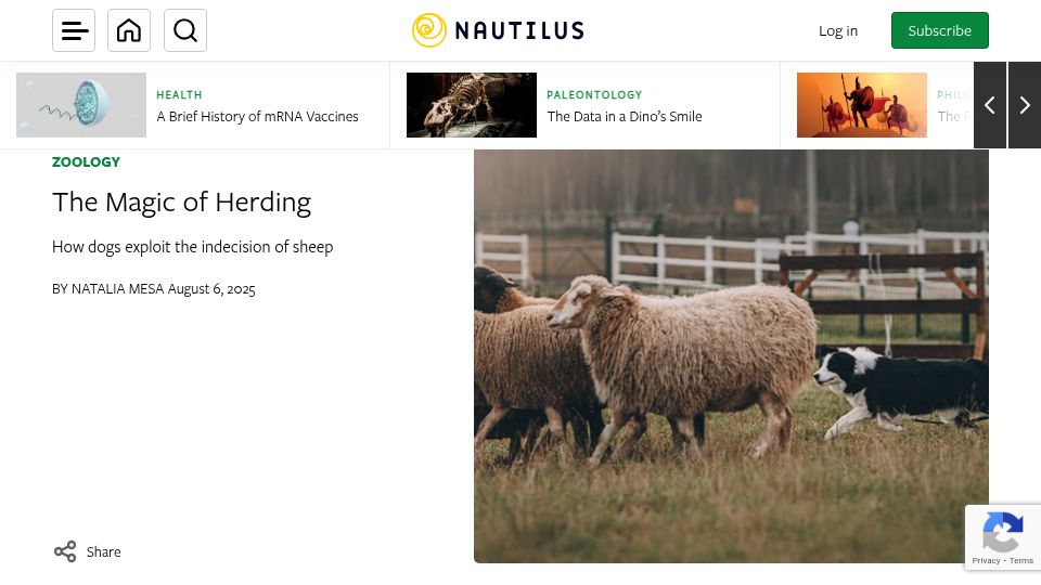 Screenshot of nautil.us: The Magic of Herding