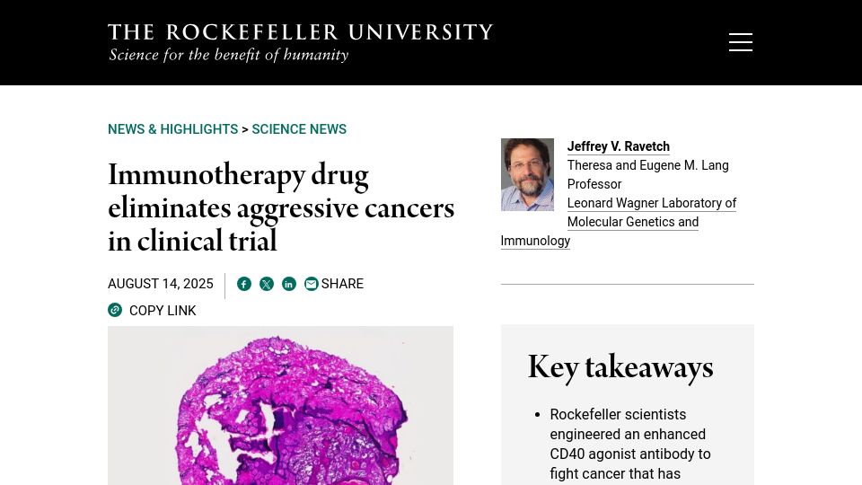 Screenshot of rockefeller.edu: Immunotherapy drug clinical trial results: half of tumors shrink or disappear