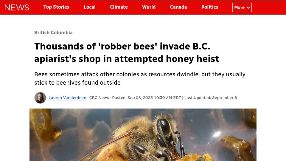 Screenshot of cbc.ca: ‘Robber bees’ invade apiarist’s shop in attempted honey heist