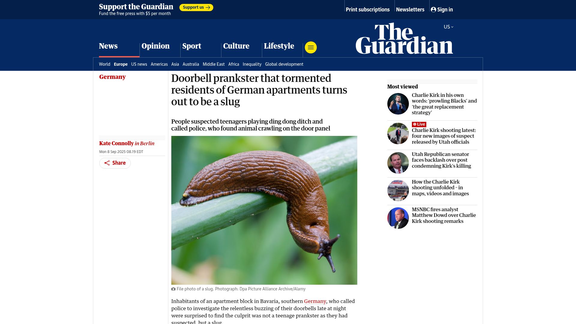 Screenshot of theguardian.com: Doorbell prankster that tormented residents of apartments turns out to be a slug