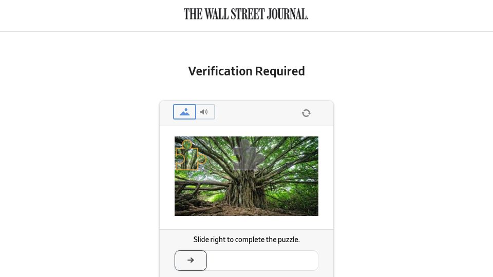 Screenshot of wsj.com: AI Startup Founders Tout a Winning Formula–No Booze, No Sleep, No Fun