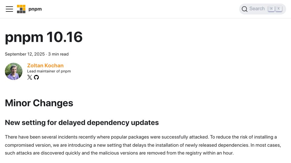 Screenshot of pnpm.io: Pnpm has a new setting to stave off supply chain attacks