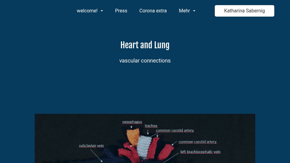 Screenshot of knitted-anatomy.at: Knitted Anatomy