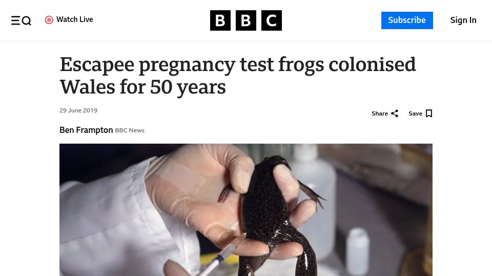 Screenshot of bbc.com: Escapee pregnancy test frogs colonised Wales for 50 years (2019)