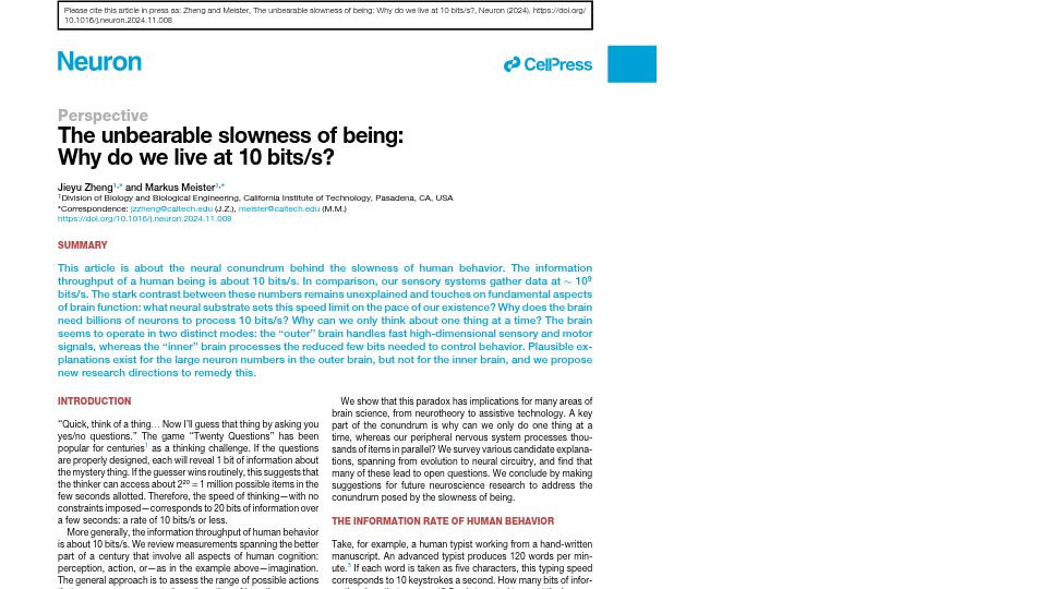 Screenshot of meisterlab.caltech.edu: The unbearable slowness of being: Why do we live at 10 bits/s? [pdf]
