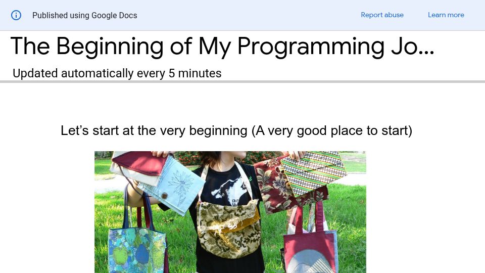 Screenshot of docs.google.com: The Beginning of My Programming Journey (2022)