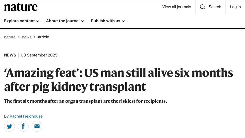 Screenshot of nature.com: Man still alive six months after pig kidney transplant