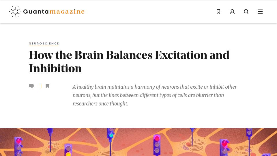 Screenshot of quantamagazine.org: How the Brain Balances Excitation and Inhibition