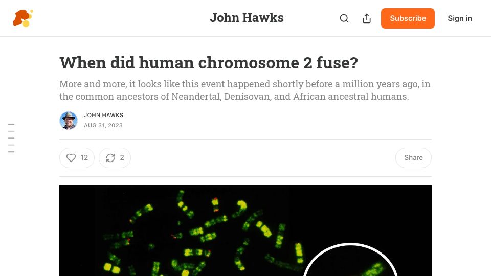 Screenshot of johnhawks.net: When did human chromosome 2 fuse?(2023)