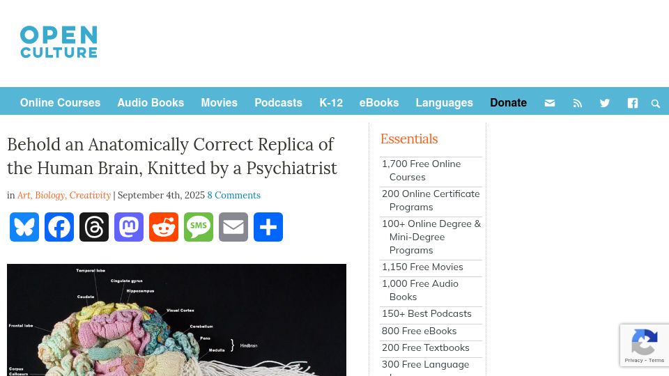 Screenshot of openculture.com: An Anatomically Correct Replica of the Human Brain, Knitted by a Psychiatrist