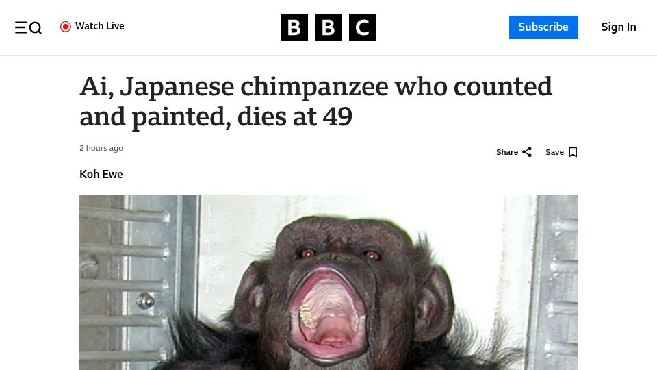 Screenshot of bbc.com: Ai, Japanese chimpanzee who counted and painted dies at 49