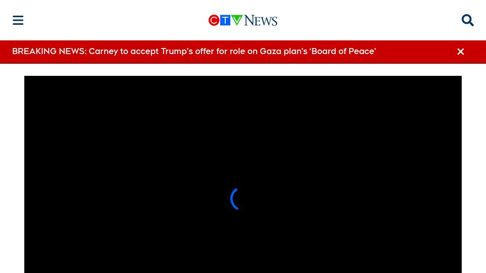 Screenshot of ctvnews.ca: Experts Warn of Growing Parrot Crisis in Canada