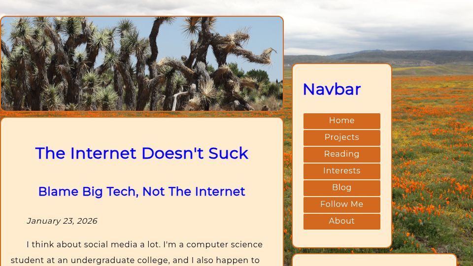 Screenshot of riverseeber.net: The Internet Doesn't Suck: Blame Big Tech, Not the Internet