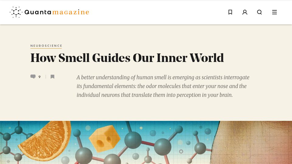 Screenshot of quantamagazine.org: How Smell Guides Our Inner World