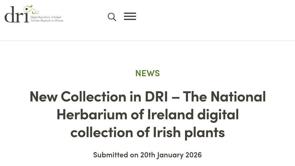 Screenshot of dri.ie: The National Herbarium of Ireland digital collection of Irish plants