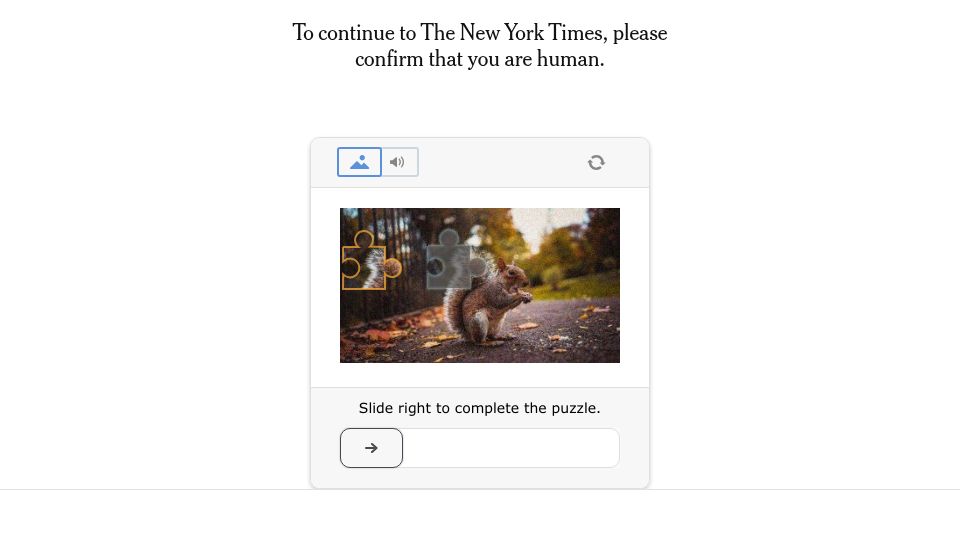 Screenshot of nytimes.com: A spider web unlike any seen before