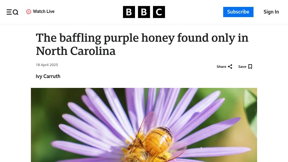 Screenshot of bbc.com: Baffling purple honey found only in North Carolina