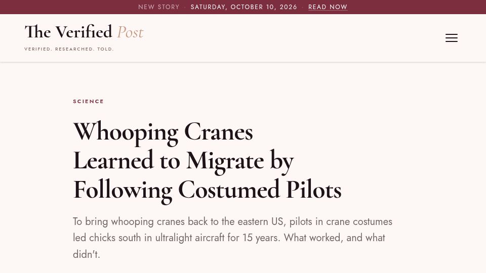 Screenshot of theverifiedpost.com: Whooping Cranes Learned to Migrate by Following Costumed Pilots
