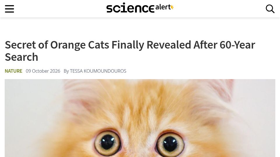 Screenshot of sciencealert.com: Secret of Orange Cats Revealed After 60-Year Search