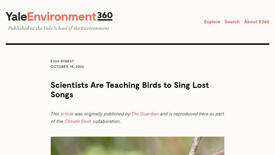 Screenshot of e360.yale.edu: Scientists are teaching birds to sing lost songs