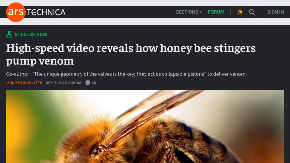 Screenshot of arstechnica.com: High-speed video reveals how honey bee stingers pump venom