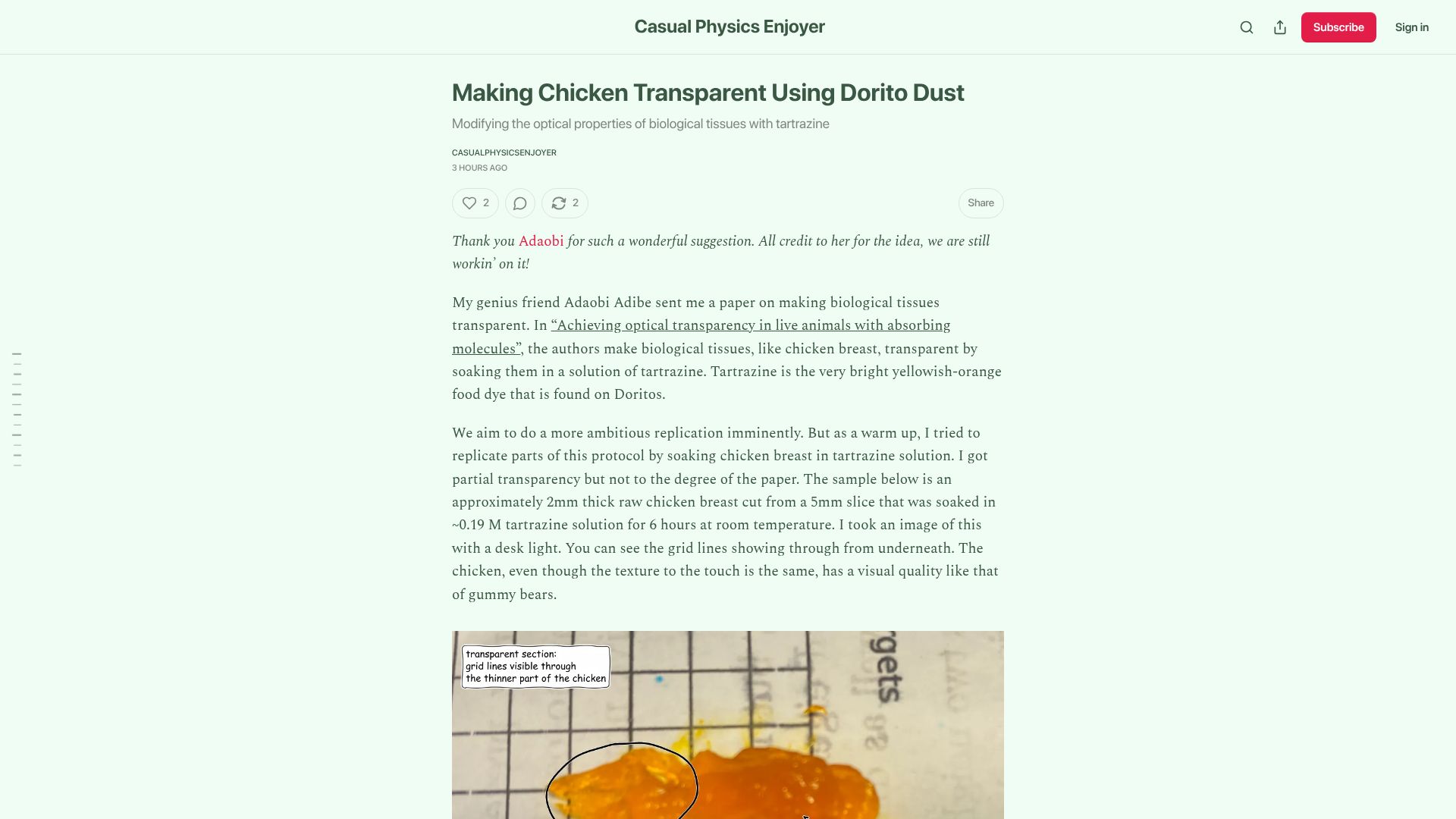 Screenshot of chillphysicsenjoyer.substack.com: Making chicken transparent using Dorito dust