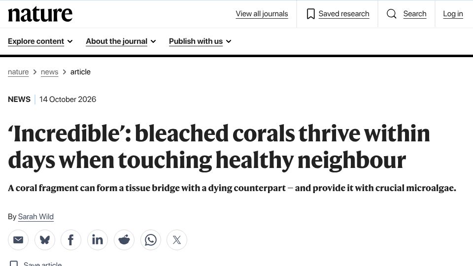 Screenshot of nature.com: Bleached corals thrive within days when touching healthy neighbour