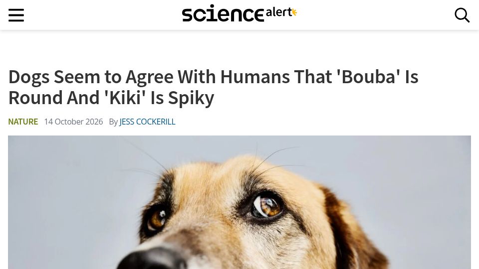 Screenshot of sciencealert.com: Dogs seem to agree with humans that 'bouba' is round and 'kiki' is spiky