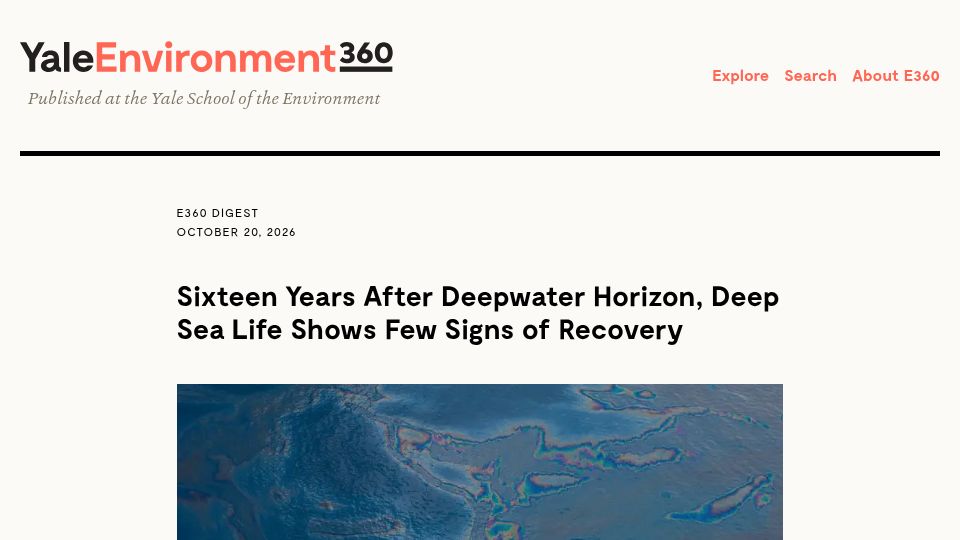 Screenshot of e360.yale.edu: Sixteen years after Deepwater Horizon, deep sea life shows few signs of recovery