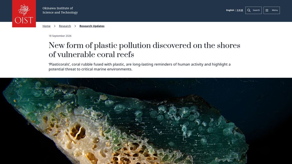 Screenshot of oist.jp: New plastic pollution discovered: 'Plasticorals' coral rubble fused with plastic