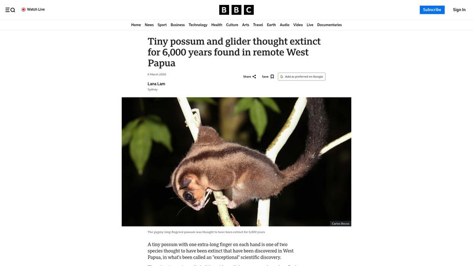 Screenshot of bbc.com: Tiny possum and glider thought extinct for 6000 years found in remote West Papua