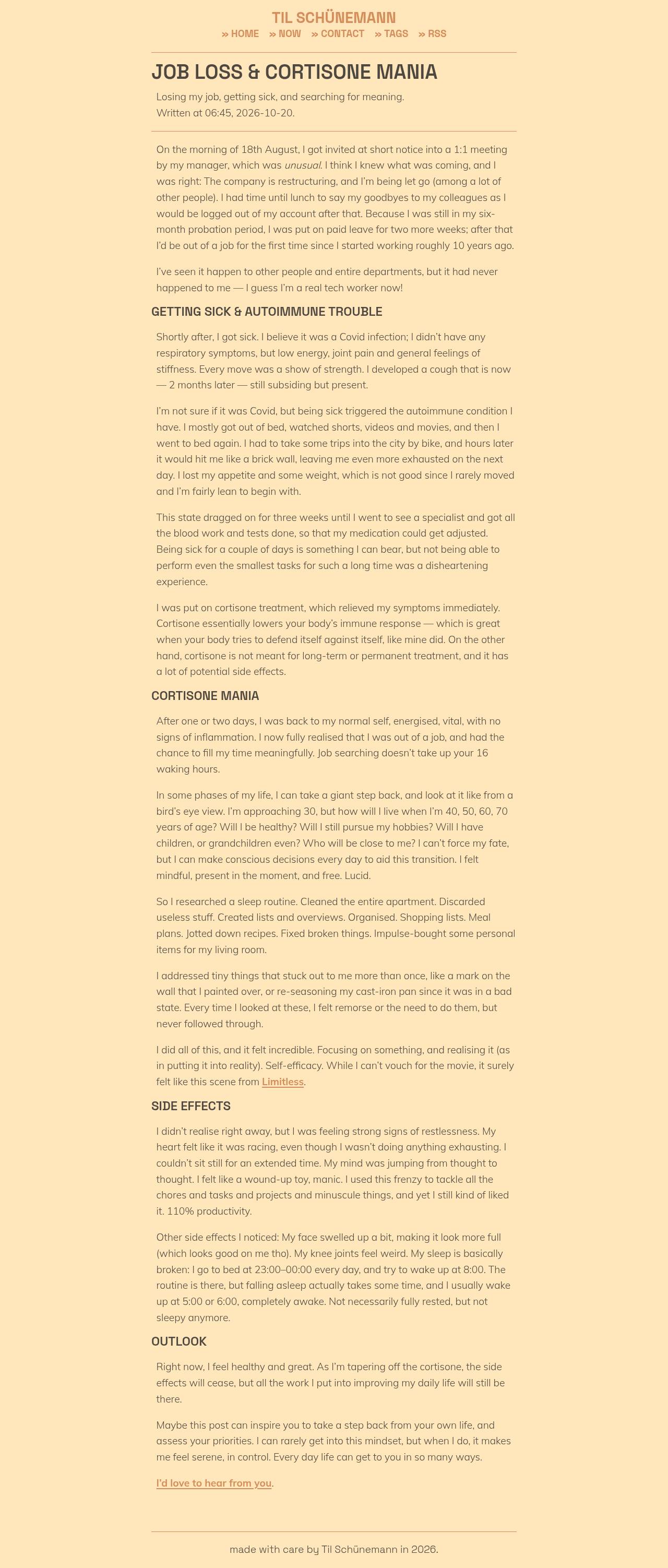 Full-page screenshot of tilschuenemann.de